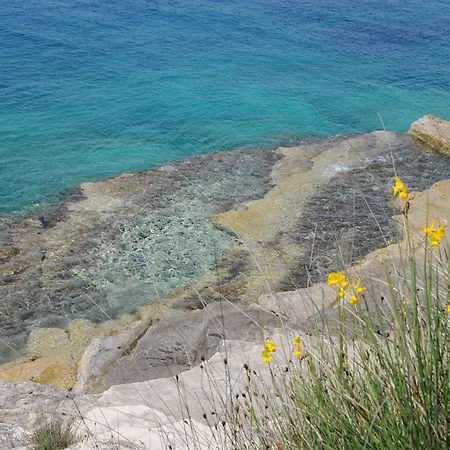 In Studio - Aniko Near The Sea